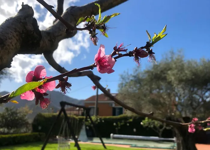 La Rosa Frühstückspension 4*