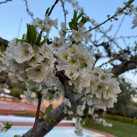 La Rosa 4*