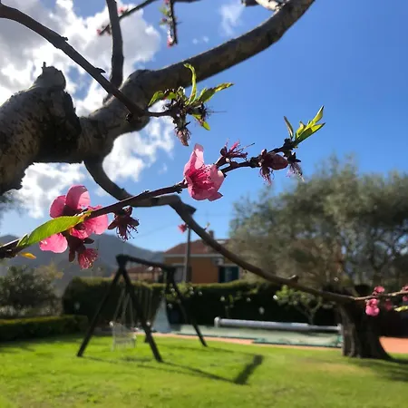 La Rosa Panzió 4*