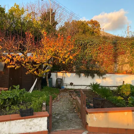 La Rosa Bed and Breakfast Σαλέρνο