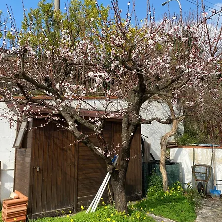 Bed and Breakfast La Rosa 4*